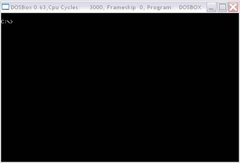 DOSBox Running