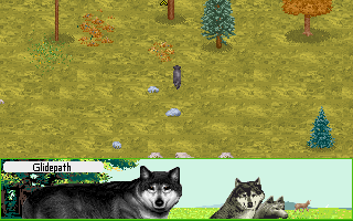 Wolf_5.png