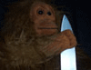Gargantuan Orangutan\'s Avatar